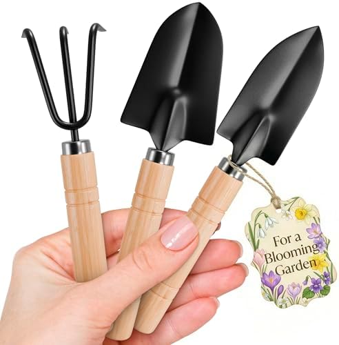 3 Pcs Mini Garden Tools, Shovel, Rake, Wooden Handles, Steel Heads | Small Gardening Tools Set, Tiny Trowel for Transplanting, Repotting and Planting, for Indoor Plants, Succulents and Bonsai