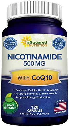 Nicotinamide with CoQ10 (120 Capsules) - Vitamin B3 500mg (Niacinamide Flush Free) - Coenzyme Q10 Powder - VIT B-3 & Coq 10 Supplement Pills to