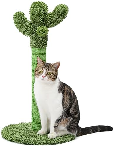 Made4Pets Cactus Cat Scratching Post for Small Indoor Cats & Kittens, 21.7"