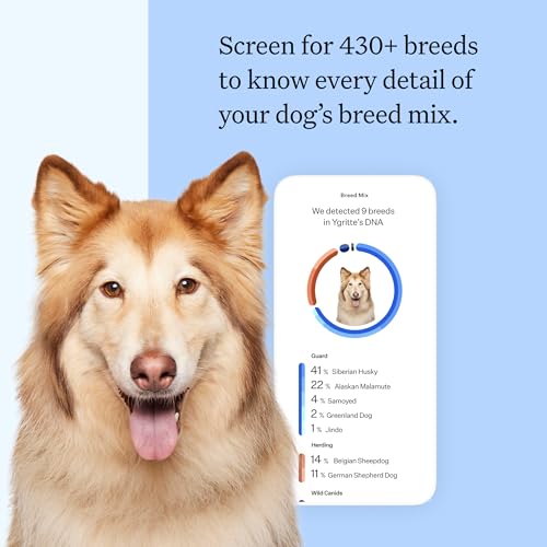 Wisdom Panel Breed Discovery Dog DNA Testing Kit - Most Accurate Dog Breed Identification - Test for 430+ Breeds, MDR1 Health Test, Ancestry