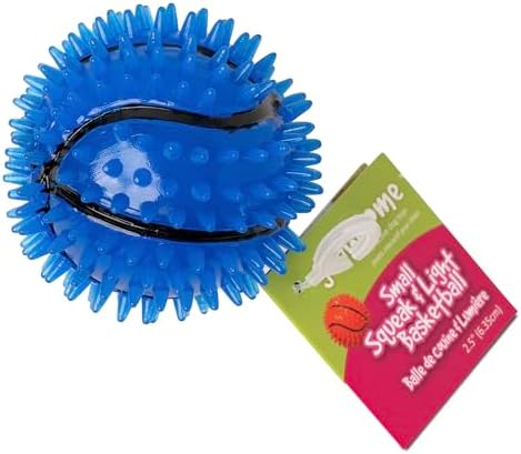 Gnawsome Dog Toys - 2.5-Inch Spiky Squeaker Basketball - Small - Dental & Gum Wellness - Stimulating Fun - Hidden Squeaker - Durable for Heavy