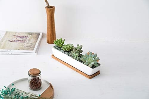 SeaStar White Rectangular Long Succulent Planter Pot, 11x2.16x1.75inch Modern Minimalist Ceramic Succulent Planter Pot with Saucer for Office, Desk