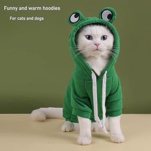 ANIAC Dog Hoodies Sweatshirt with Bunny Ears Spring Puppy Clothes for Small Dog Girl Boy Soft Doggy Sweater Cat Apparel Pet Clothing for Kitten