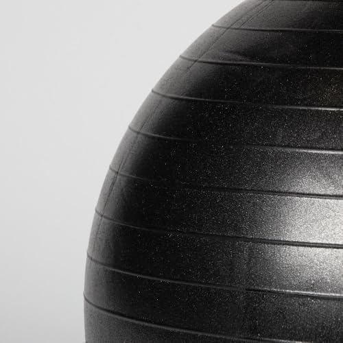 Titan Fitness 65cm Black Exercise Stability Ball, 25.6" Diameter Inflatable Yoga Ball for Home Gym Workouts, Resistance Exercises
