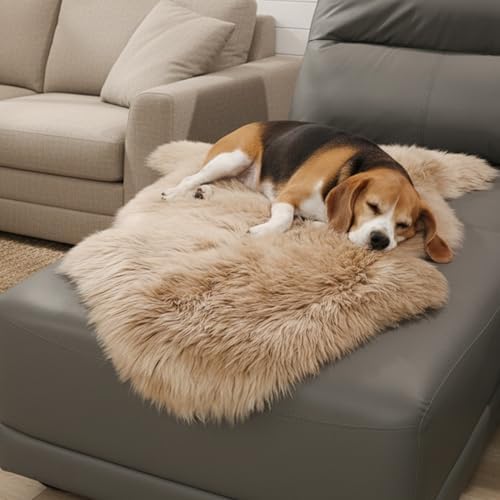 OGLAND Genuine Sheepskin Rug | Shaggy Wool Fur Lambskin Throw Pad Cushion