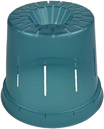 Orchid Pot - 6 inch Slotted Clear Orchid Pots - 3 Pack (Crystal Clear)