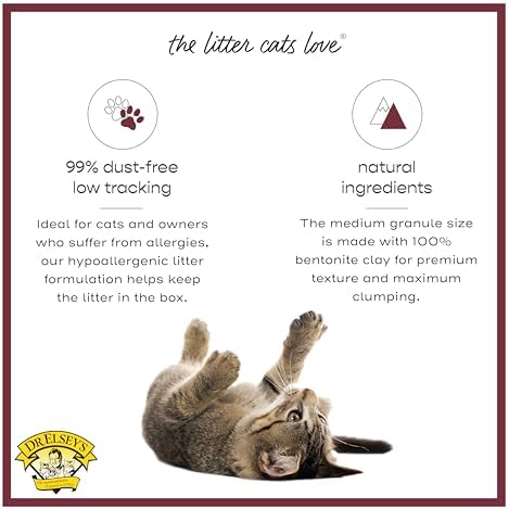 Precious Cat Classic Premium Clumping Cat Litter, 40 lb Bag