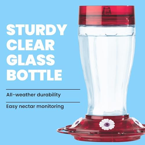 More Birds Bird Health+ Big Gulp Hummingbird Feeder, Glass Hummingbird Feeders for Outdoors, 5 Feeding Stations, 40 Ounces | Built-in Ant Moat