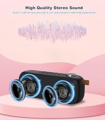 Portable Bluetooth Speaker FM Radio Digital, Support USB/SD Card MP3 Music Player/AUX/REC, Build-in 3000mAh Rechargeable Battery