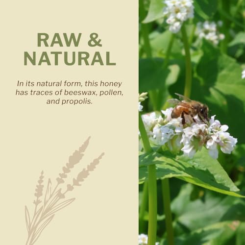 OneRoot Raw Buckwheat Honey – 500g / 17.6oz, Unheated & Unprocessed Dark – Nutrient-Rich, Antioxidant-Packed Natural Sweetener – Pure & Unfiltered Honey