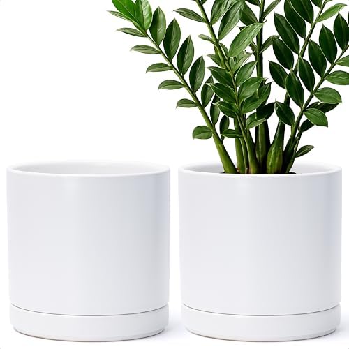 D'vine Dev 2-Pack Ceramic Pots with Saucers, White/Grey, 4.7 in, 94-V-B-6