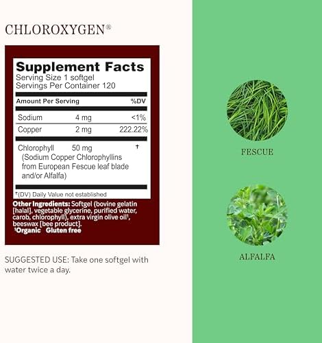 Herbs Etc. ChlorOxygen Chlorophyll Concentrate Softgels - High-Potency Chlorophyll for Detoxification Support - Deodorizing - Skin, Gut & Energy Support - 60 Count (60 Servings)