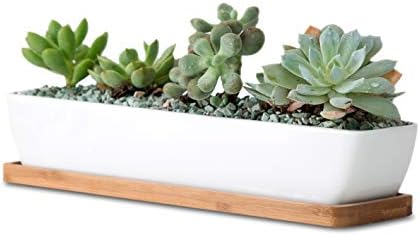 11inch Long Rectangle White Ceramic Succulent Planter Pots,with Bamboo Saucers. Product Size:11x2.23x1.69inch.