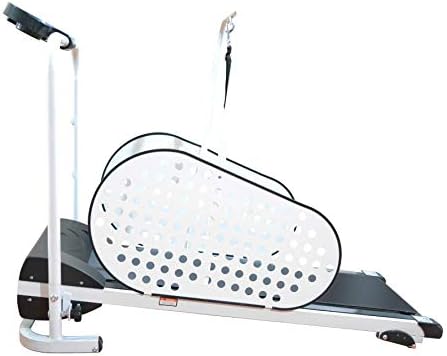 Shelandy Pet Treadmill | Smart and Motorized Treadmill for Small & Medium Dogs