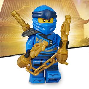 Includes LEGO NINJAGO minifigure