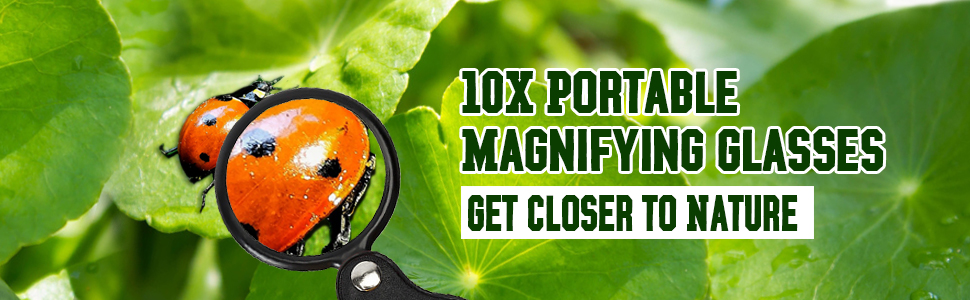Magnifying Glass