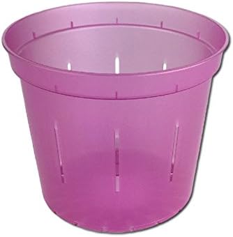 Orchid Pot - 6 inch Slotted Clear Orchid Pots - 3 Pack (Crystal Clear)