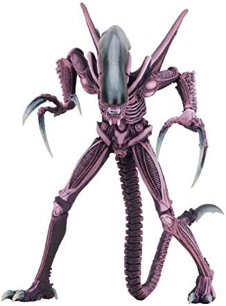 NECA - Aliens vs Predator (Arcade Appearance) - 7" Scale Action Figures - Razor Claws