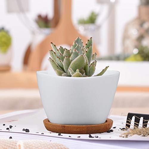 Succluent Pots ，Small Flower Pots Planter Pots with Drinage,Ceramic Flowers Pots with Bamboo Tray for Cactus(12 Pack)