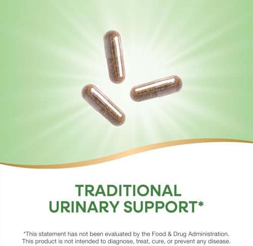 Nature's Way Uva Ursi, 1,440 mg per Serving, 100 Capsules (Packaging May Vary)