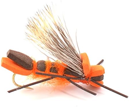 The Fly Fishing Place Bitterroot River Foam Hopper Fly Fishing Flies Assortment - 12 Flies - 2 Each of 6 Trout Flies with Fly Box