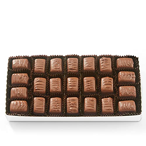 See's Candies 1 lb Milk Butterscotch Square (White Wrap)
