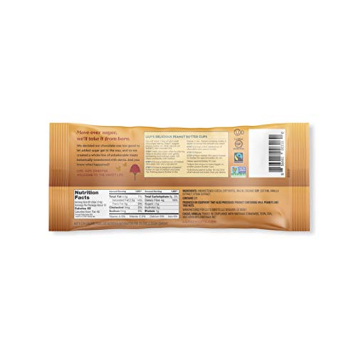 Dark Chocolate Chips by Lily's | Stevia Sweetened, No Added Sugar, Low-Carb, Keto Friendly | 55% Cocoa | Fair Trade, Gluten-Free & Non-GMO | 9 ounce