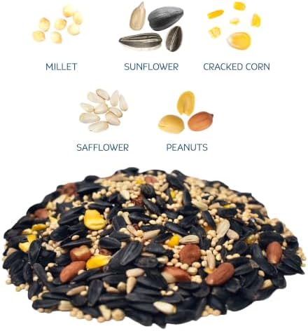 Audubon Park Songbird Blend Wild Bird Food, Bird Food for Outside Feeders, 14-Pound Bag | Year-round outdoor bird food for outside feeders