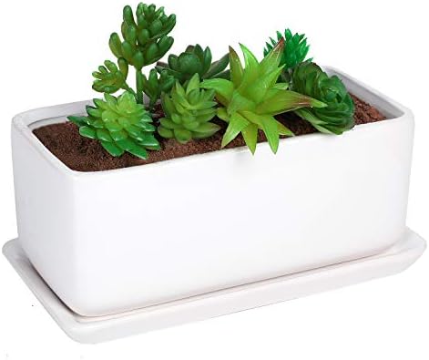 10 inch Rectangular White Ceramic Planter Pot Succulent Cactus Herb Flower Container Window Box Saucer Removable Drip Tray Base Drain Holes Home