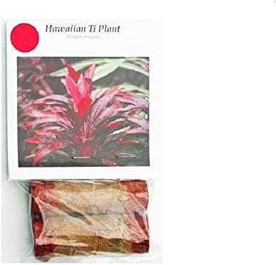 HAWAIIAN RED TI LEAF PLANT 2 LOGS ~ GROW HAWAII