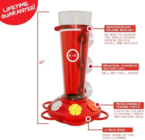 Window Hummingbird Feeder, Suction Cup, Hummingbird Feeders for Outdoors