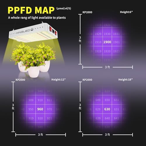 KingLED KP1000 Grow Light for Indoor Plants, Full Spectrum Plant Grow Light | 100W Dimmable LED Growing Light with Veg & Bloom Mode, High PPFD Plant Lamp for Indoor Seed Starting, Fits 2x2/2x3 Grow Tent
