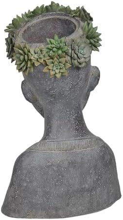 Newman House Studio Face Cactus Succulents Planter Pot - Indoor Outdoor Planter with Drainage Hole Garden Statues Cute Plants Pot Flower Pot