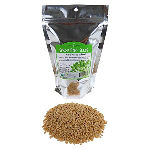 Handy Pantry Organic Whole Wheat Kernels Hard White Wheat Grain 1Lb Non-GMO | Heirloom Wheat Seeds for Hard White Wheat Berry Seeds for Sprouting Organic Wheatgrass Wheat Berry Bread Winter Wheat Seed
