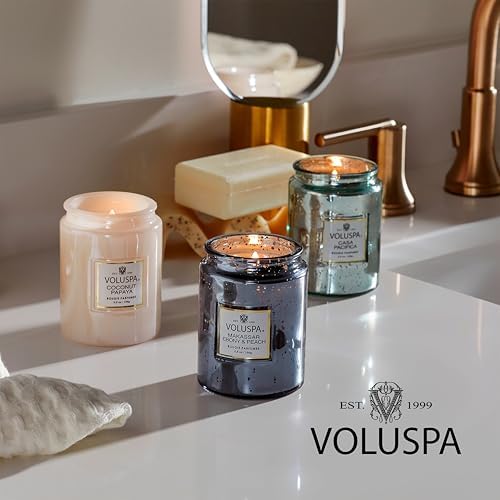 Voluspa BlackBerry Rose Oud, 2 Wick Tin Candle, 8 oz, 25 Hour Burn Time, Coconut Wax for Clean Burning, Handcrafted in The USA