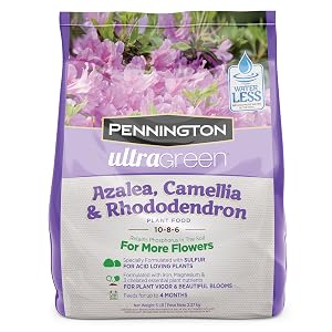 blueberry fertilizer