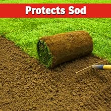 mole sod vole sod protection repellent