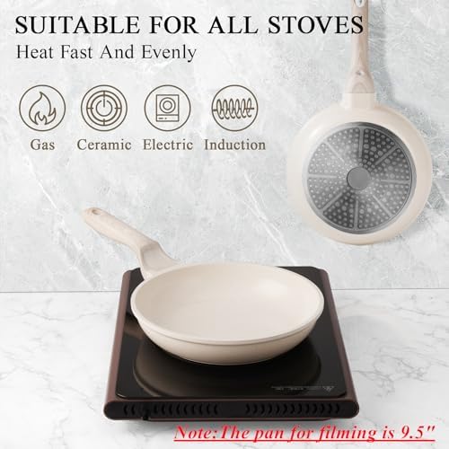 Induction Nonstick Frying Pan,Light Weight Skillet,Healthy Non Toxic Omelet Pan,All Stoves Compatible Egg Pan (grey, 8inch)