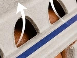 up close of the egg carton showing airflow through the holes