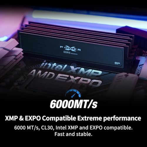 Silicon Power Value Gaming DDR5 32GB (2x16GB) 6000MT/s (PC5-48000) 288-pin CL30 1.35V UDIMM Desktop RAM Computer Memory SP032GXLWU60AFDJ