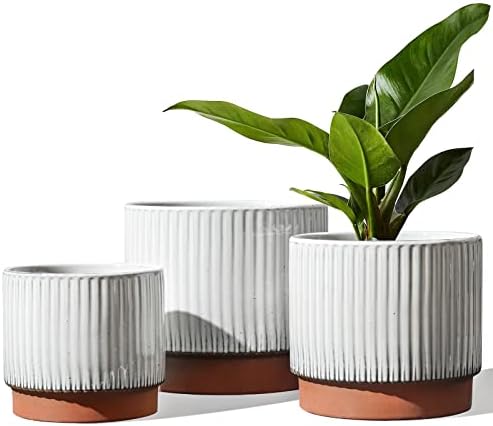 LE TAUCI Ceramic Plant Pots with Drainage Holes, Set of 3, 8+6.7+5.5 Inch Stripe Garden Planter Pots for Outdoor Indoor Plants Flower