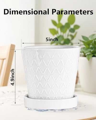 EFISPSS Ceramic Plant Pots, 5 Inch Planters with Drainage Holes and Ceramic Tray, Relief Design Flower Planter