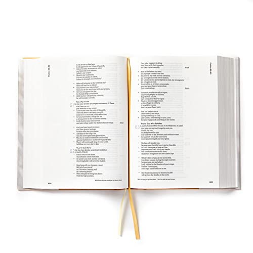 CSB Lifeway Women's Bible, Camel Cloth Over Board, Black Letter, Single-Column, Wide-Margins, Devotions, Articles, Word Studies, Character Profiles