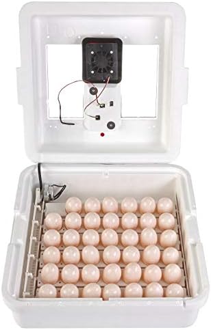 Little Giant White Miller Manufacturing Company 9300 Digital Still Air Incubator