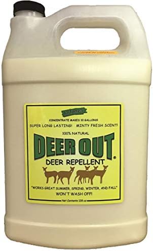 Deer Repellent :Deer Out 1 Gallon Concentrate