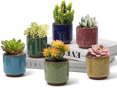 T4U 2.5 Inch Small Ceramic Succulent Planter Pot with Drainage Hole Set of 6, Ice Crack Glaze Plant Container for Cactus, Gardening Plant Gifts for Women Mom Aunt Home Office Decor | Cactus planters set, indoor herb garden, bonsai tree starter, tabletop…