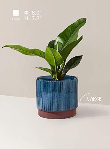 LE TAUCI Ceramic Plant Pots with Drainage Holes, Set of 3, 8+6.7+5.5 Inch Stripe Garden Planter Pots for Outdoor Indoor Plants Flower