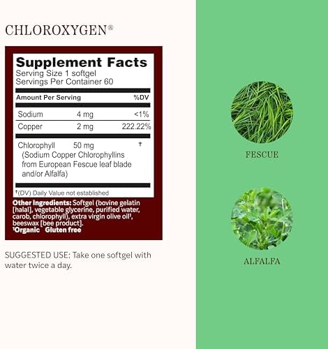 Herbs Etc. ChlorOxygen Chlorophyll Concentrate Softgels - High-Potency Chlorophyll for Detoxification Support - Deodorizing - Skin, Gut & Energy Support - 60 Count (60 Servings)