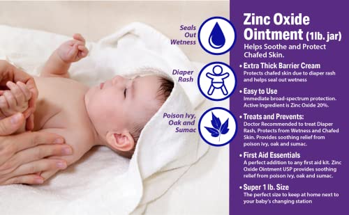 Globe Zinc Oxide Ointment 20%, Skin Protectant Barrier, 16 oz Jar