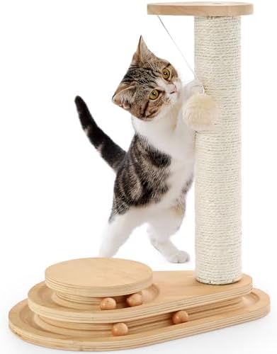 Made4Pets Kitten Toy Scratching Post for Indoor Cats with Ball Track